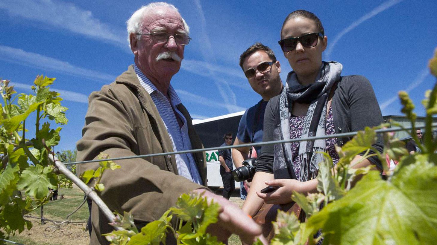 Full-Day Canberra Essential Wineries Tour with Transfers 4