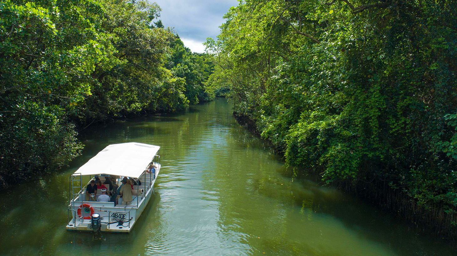 Full-Day World Heritage Highlights Tour with Helicopter Flight, Daintree River Cruise & Lunch 7