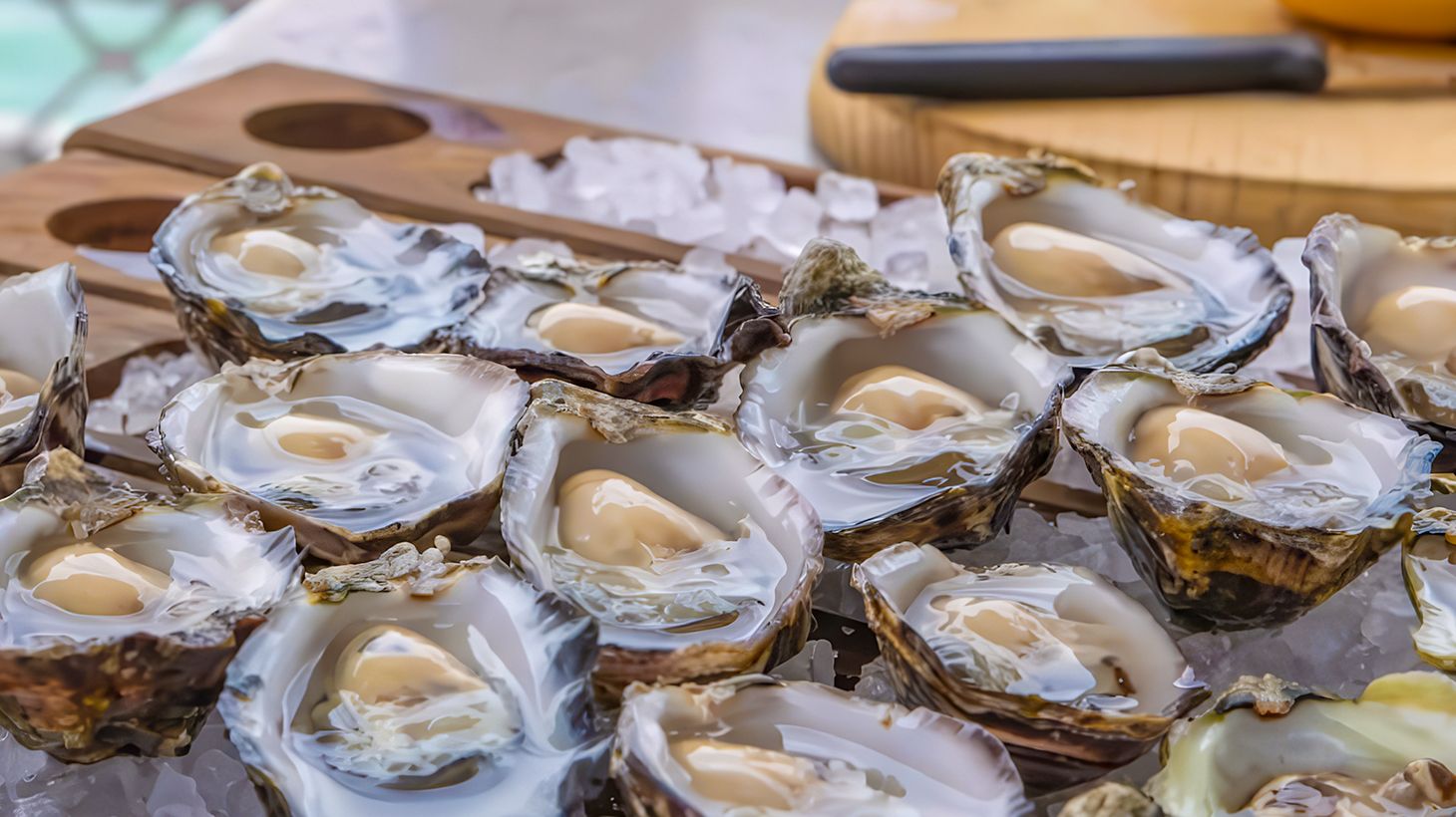 Full-Day Oysters, Ocean & Nature Tour with Tastings & Return Transfers 1