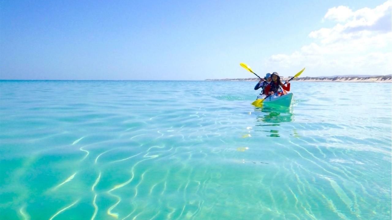 Exmouth: Explore Ningaloo Reef on a Full-Day Sea Kayak & Snorkel Tour with Lunch & Return Transfers 6