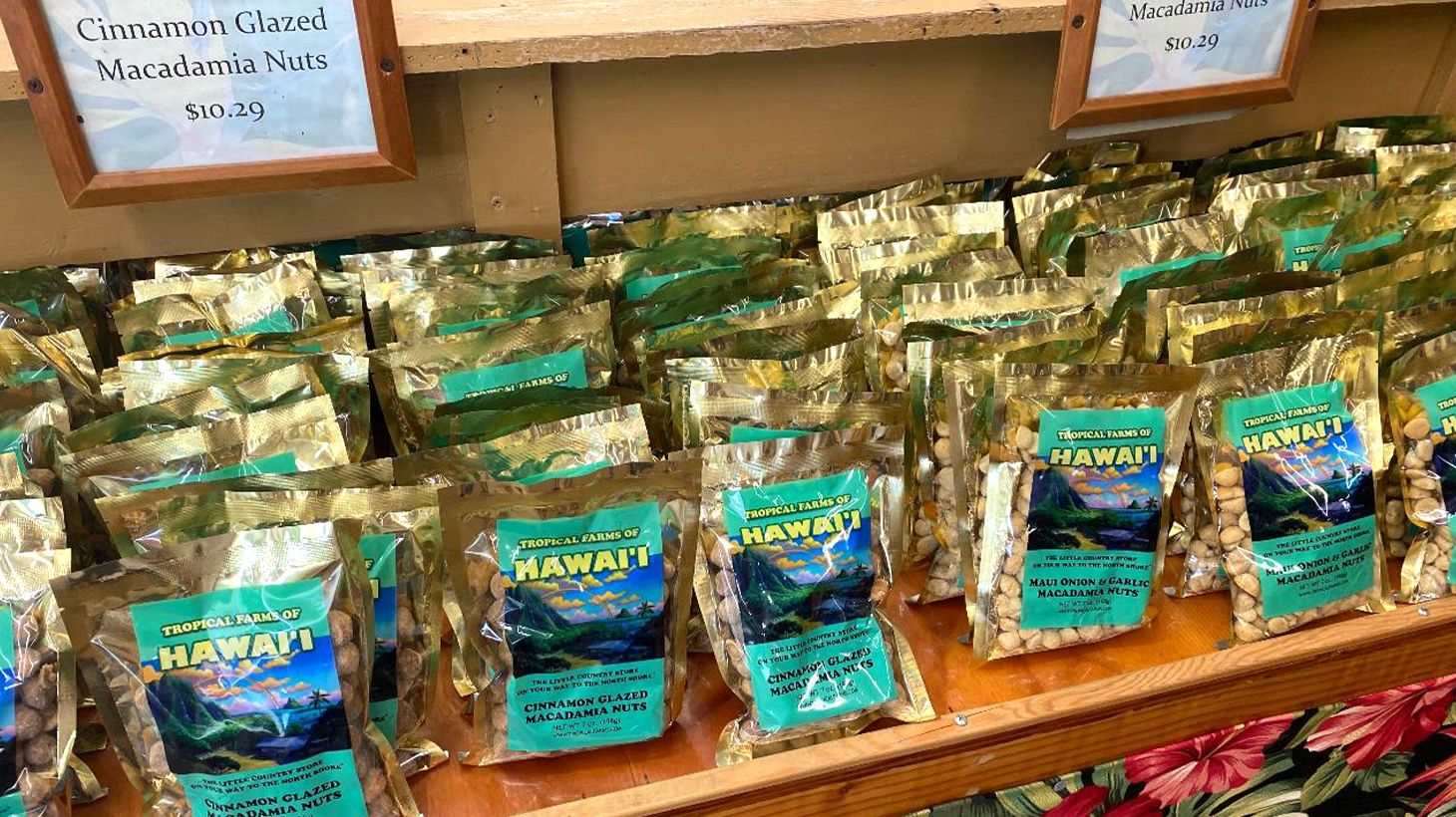 Full-Day Outdoor Tour with Guided Diamond Head Hike, North Shore Visit & Roundtrip Hotel Transfers 3