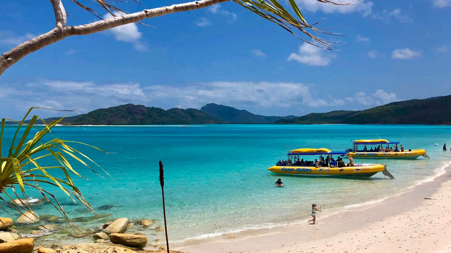 Exhilarating Full-Day Boat Tour from Daydream Island with Snorkelling, Beach Visits & Bushwalks 8