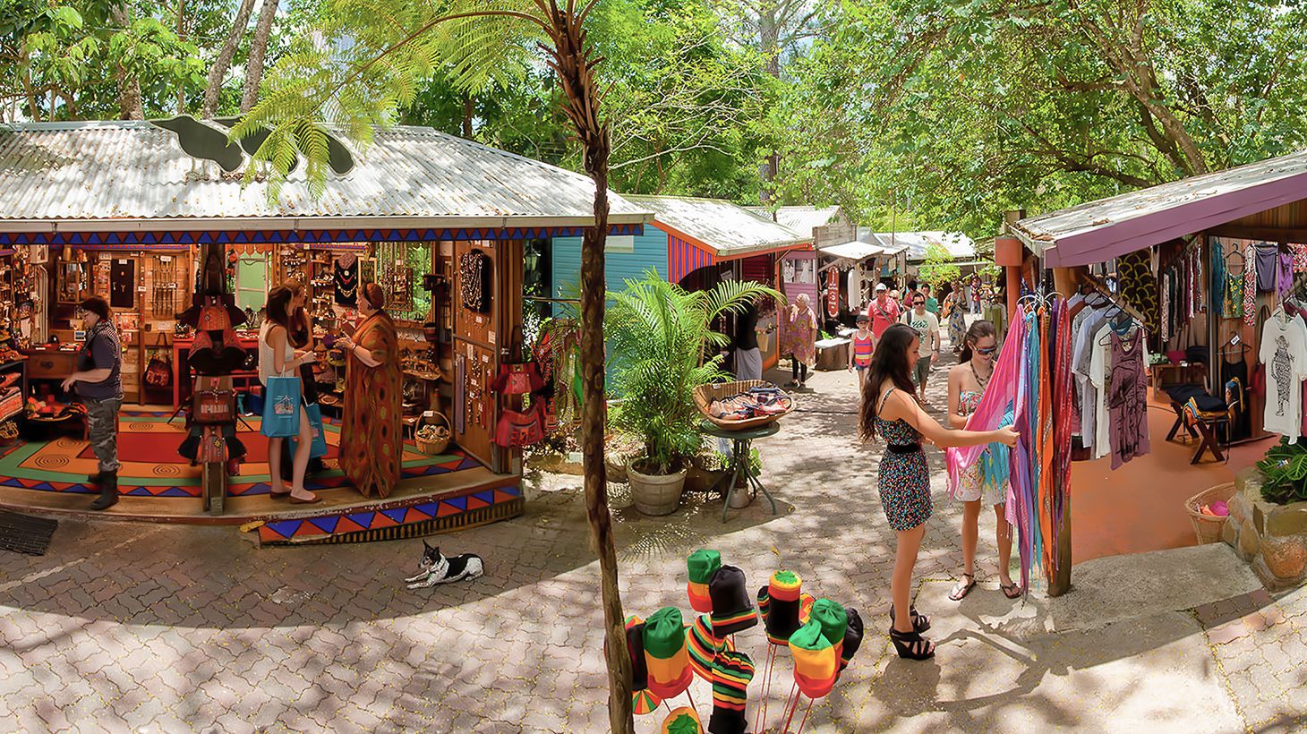 Journey through Heritage-Protected Rainforest with a One-Way Skyrail Ride & Scenic Rail Boarding Pass 5