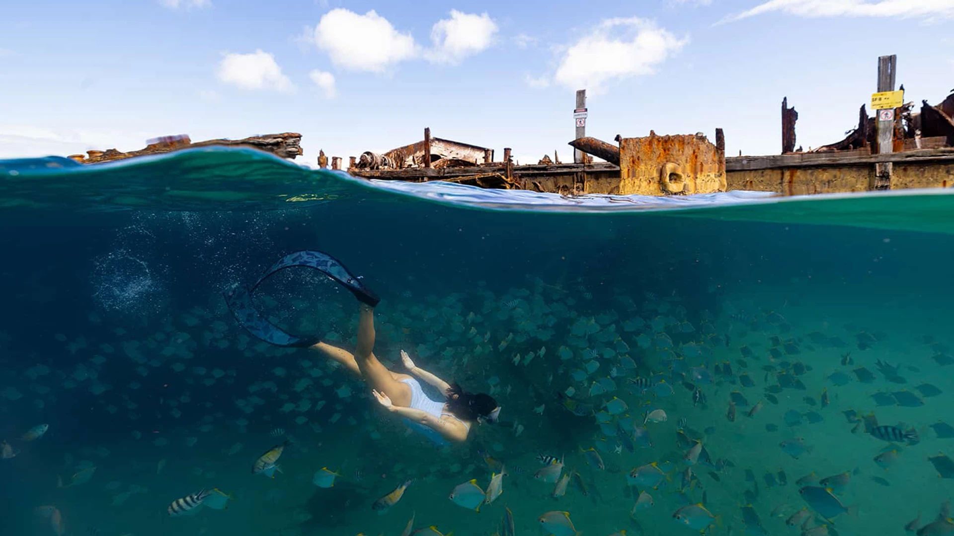 Full-Day Moreton Island Cruise with Lunch, Snorkelling & Optional Transfers Available