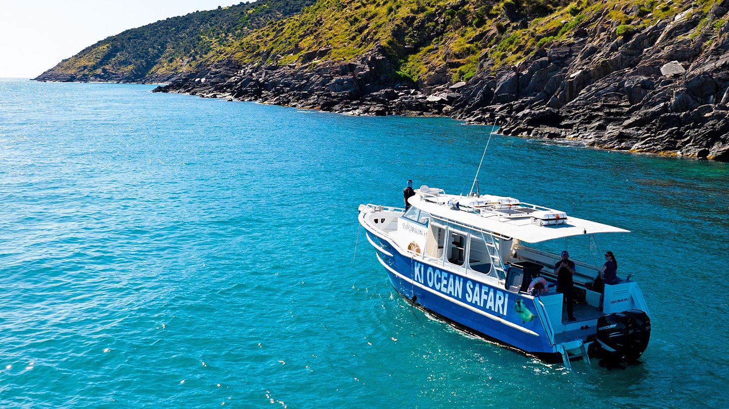 75-Minute Ocean Safari Cruise