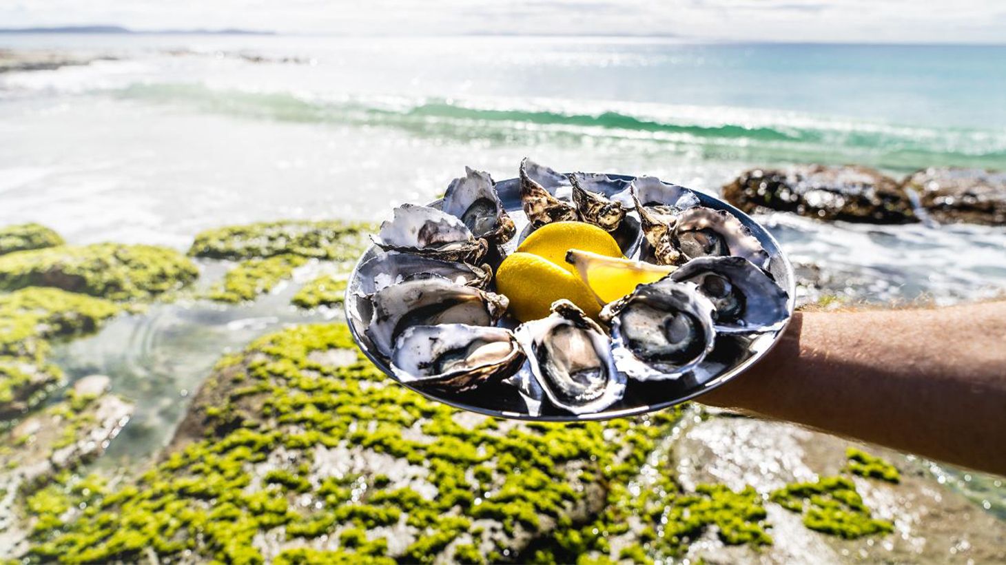 Full-Day Bruny Island Sightseeing with Lunch, Local Tastings & Cape Bruny Lighthouse Tour 8