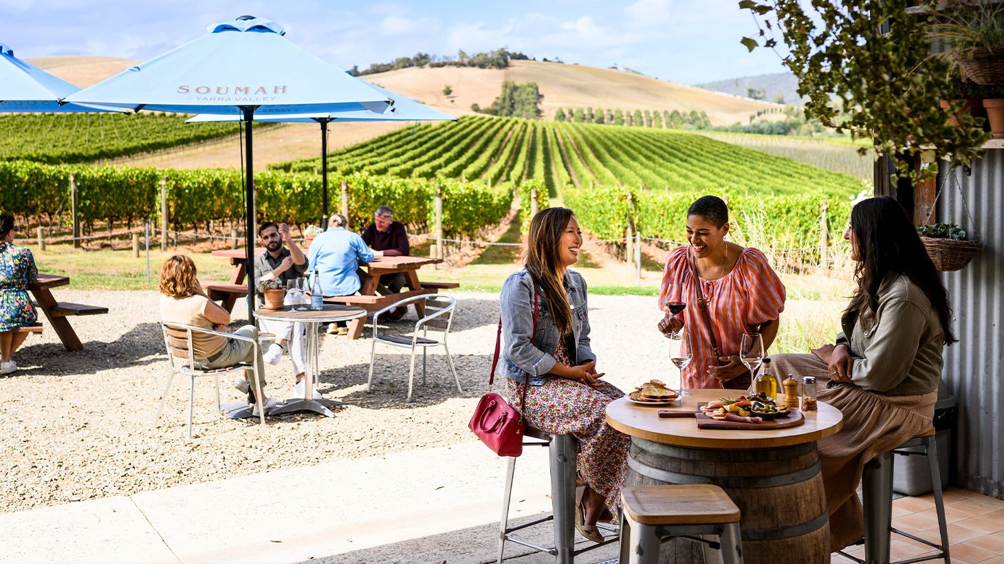Full-Day Private Barossa Valley Wine Tour with Tastings, Lunch & Return Transfers for Up to Eight People 7