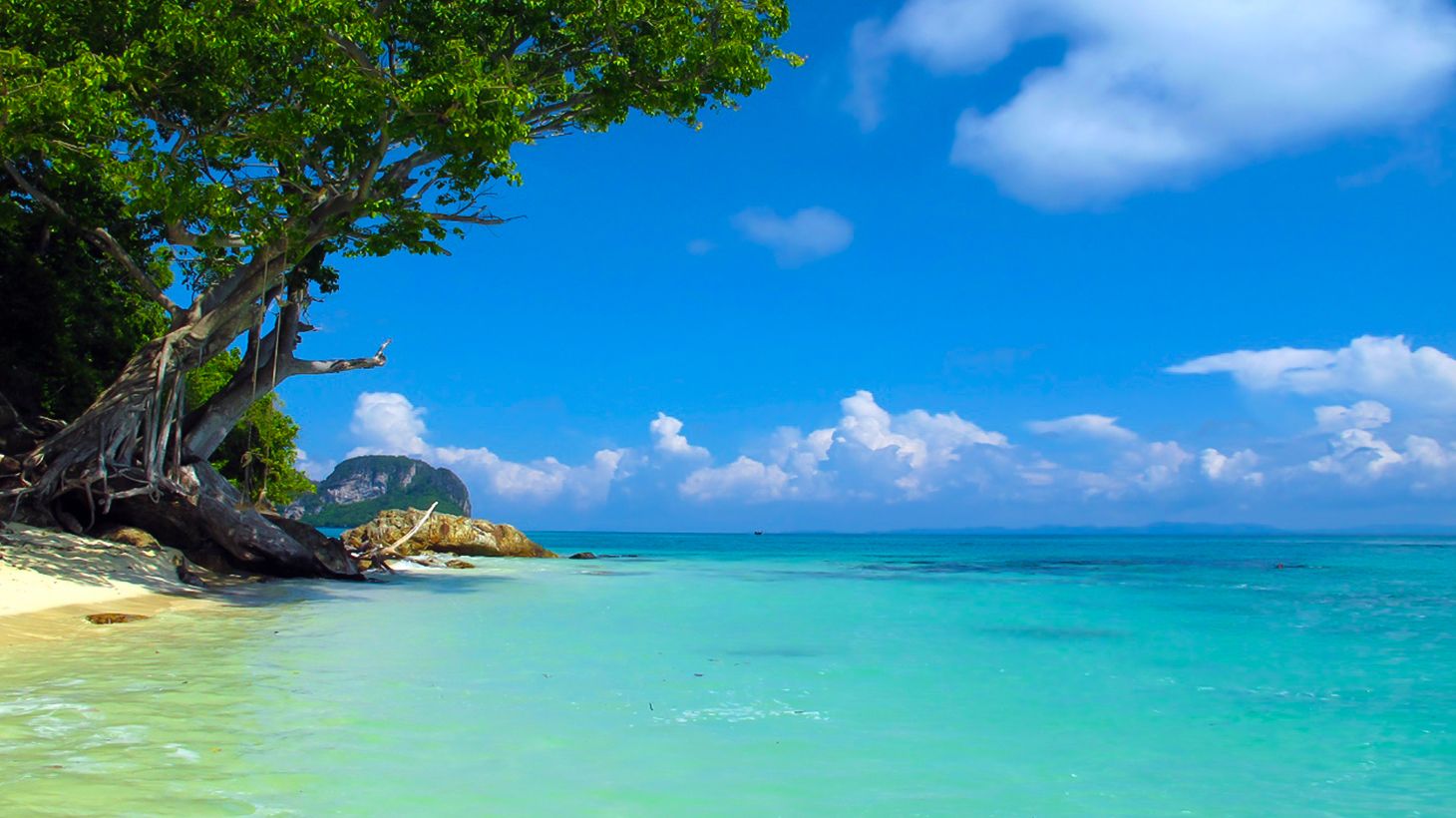 Early Bird Phi Phi Islands Full-Day Cruise with Lunch, Snorkelling & Return Transfers 6