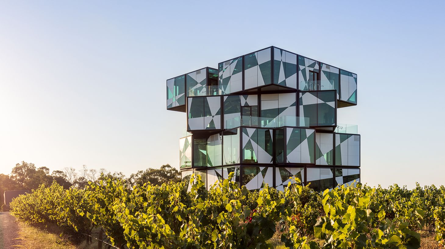 Curated Wine & Gin Tastings on a d'Arenberg Distilled Experience with Two-Course Lunch & Dali Art Exhibition Entry 1