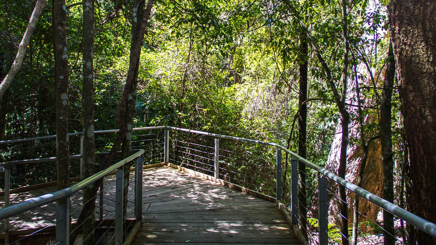 Full-Day Blue Mountains Tour with Featherdale Wildlife Park Visit, River Cruise & Three Scenic Rides 7