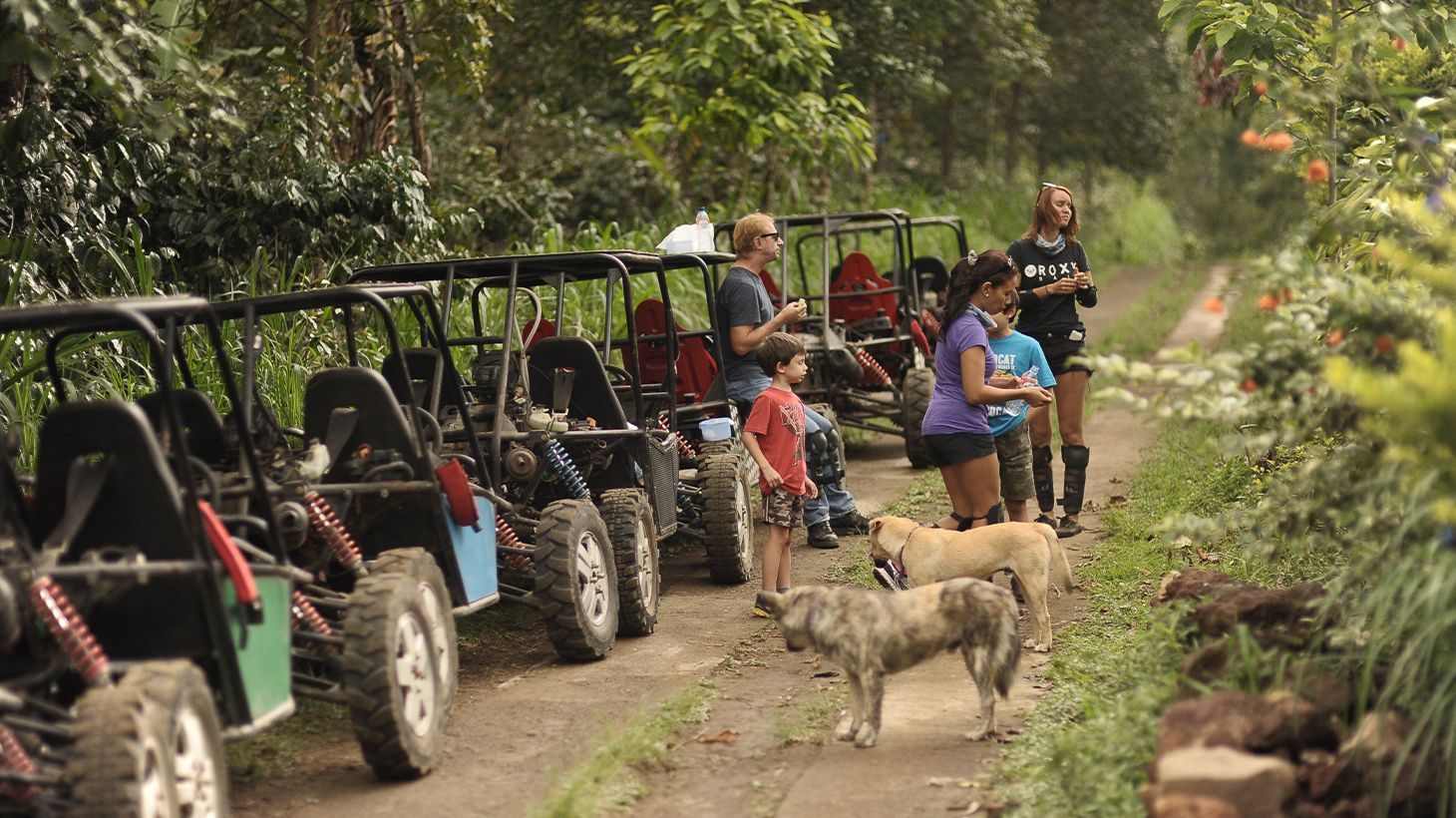 Full-Day Munduk Village Adventure with Buggy Drive, Waterfall Visit & Picnic Lunch 4