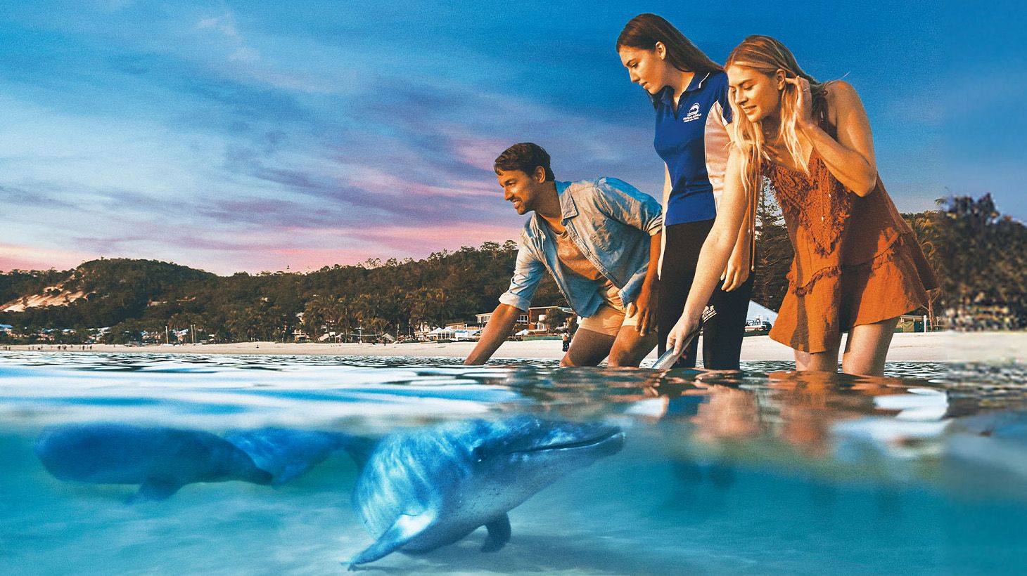Official Tangalooma™ Day Cruise (Extended): with Wild Dolphin Feeding, 4WD Desert Safari, Sand Tobogganing, Lunch & Resort Access