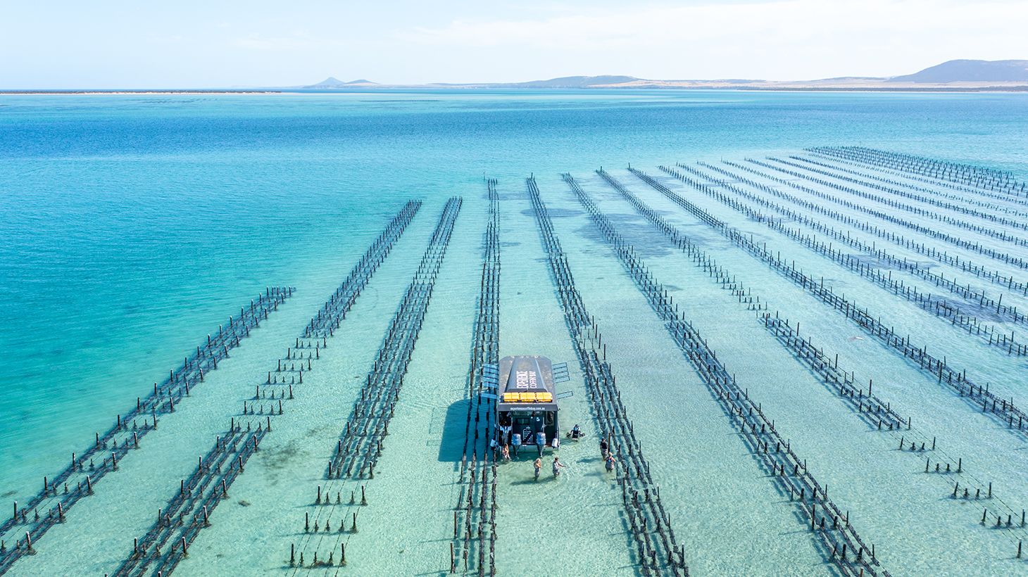 Full-Day Oysters, Ocean & Nature Tour with Tastings & Return Transfers 2