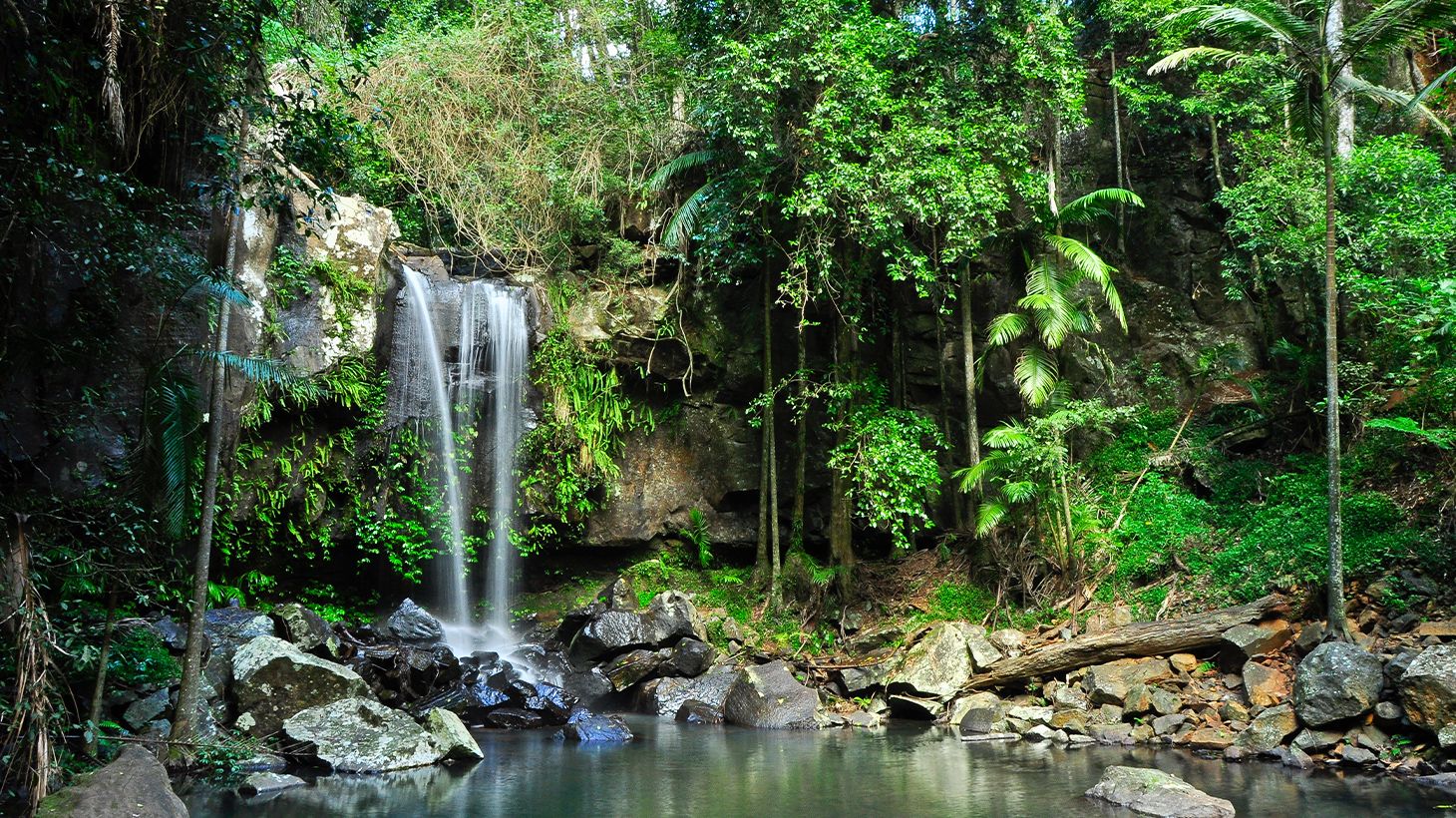 Full-Day Tastes of Tamborine Mountain Guided Tour with Lunch, Distillery Tour & Tasting 1