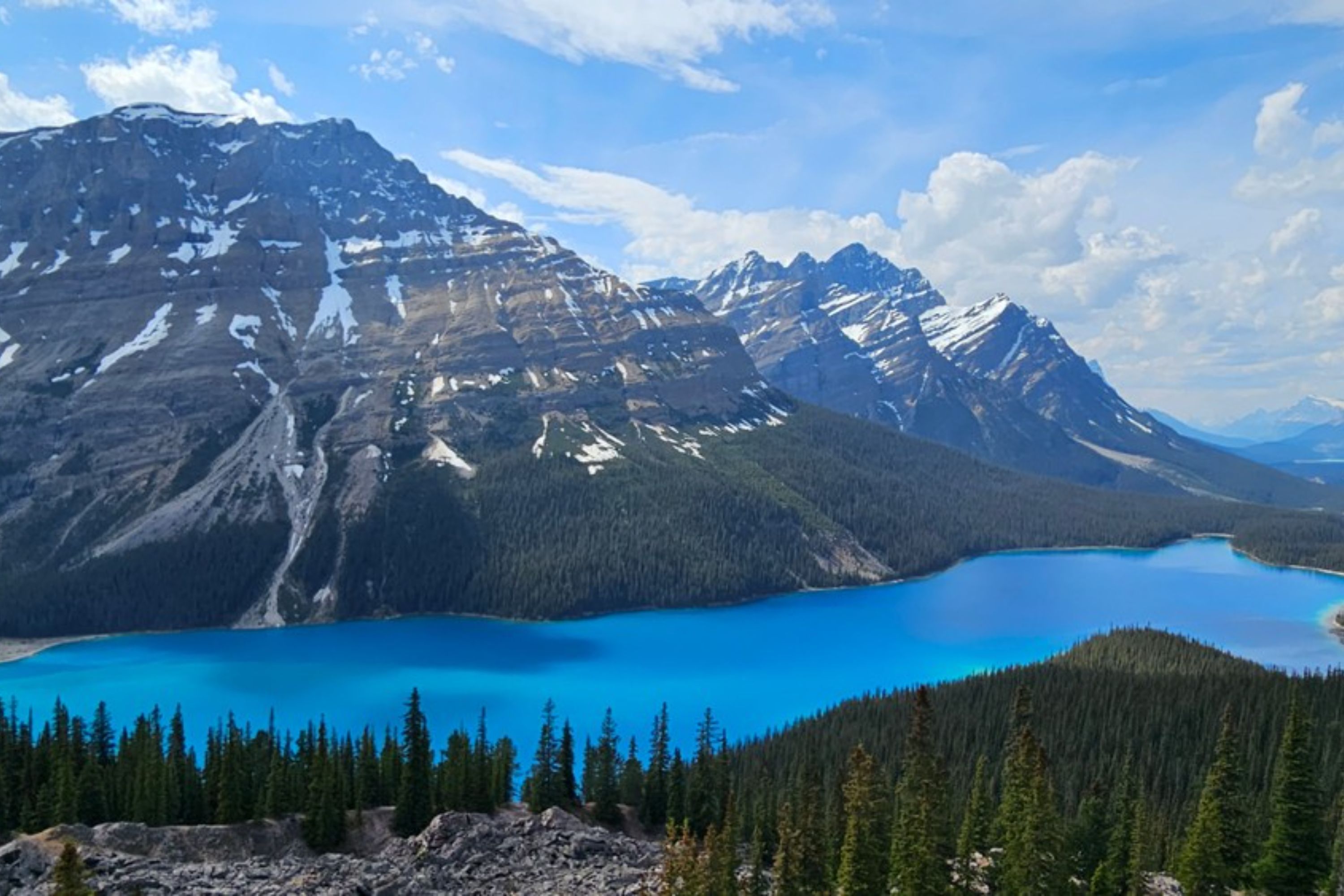 Glaciers, Mountains, Wildlife, Lakes, Canmore, and Banff Day Tour