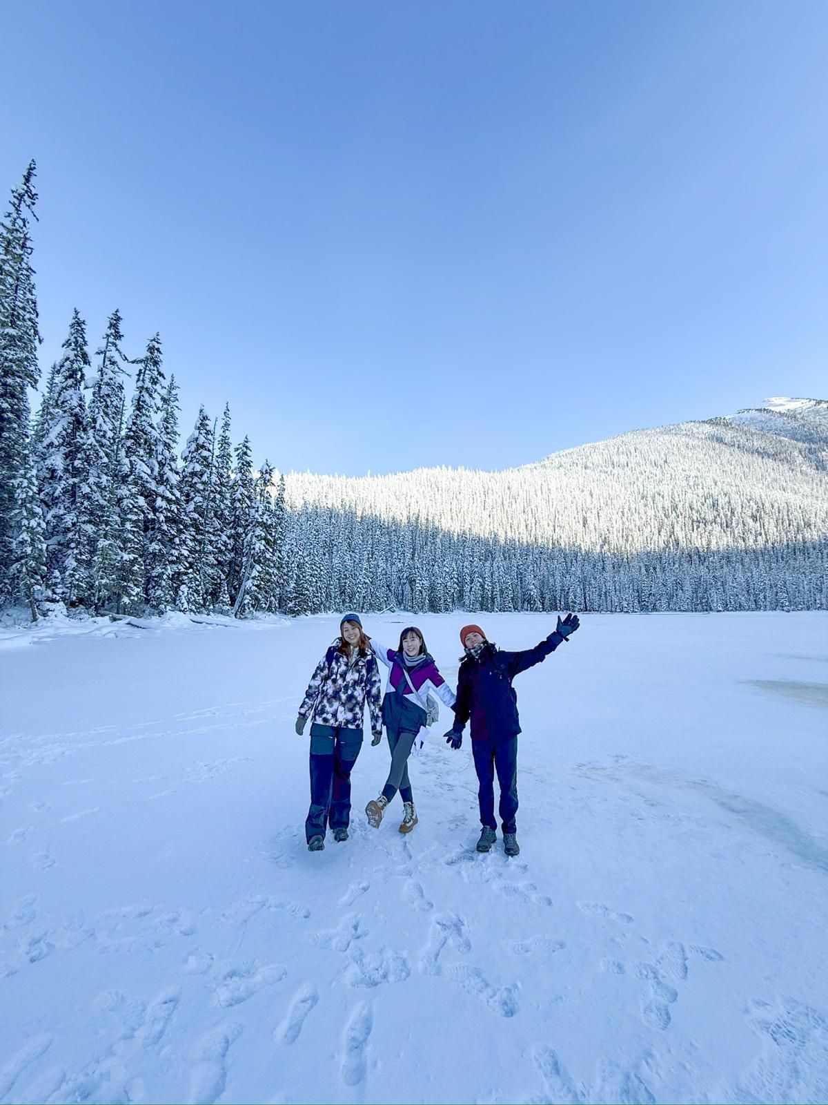 Banff Lake Louise & Emerald Lake Small Group Tour