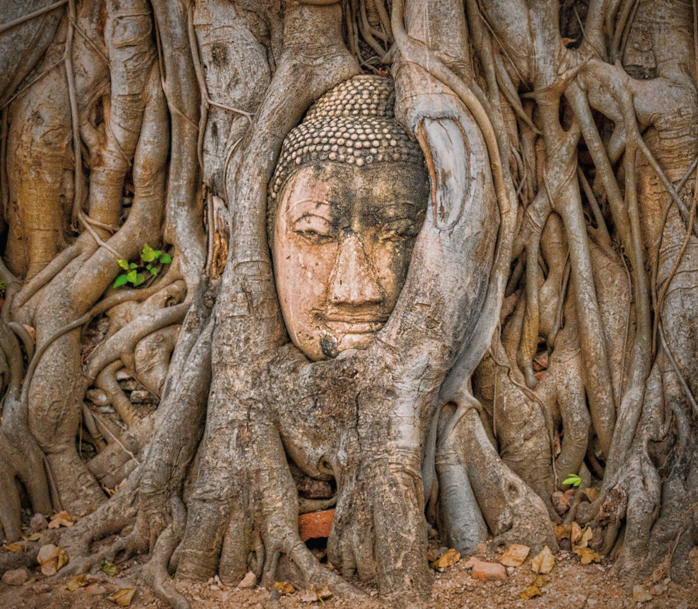 Ayutthaya Full-Day UNESCO Site Small-Group Tour