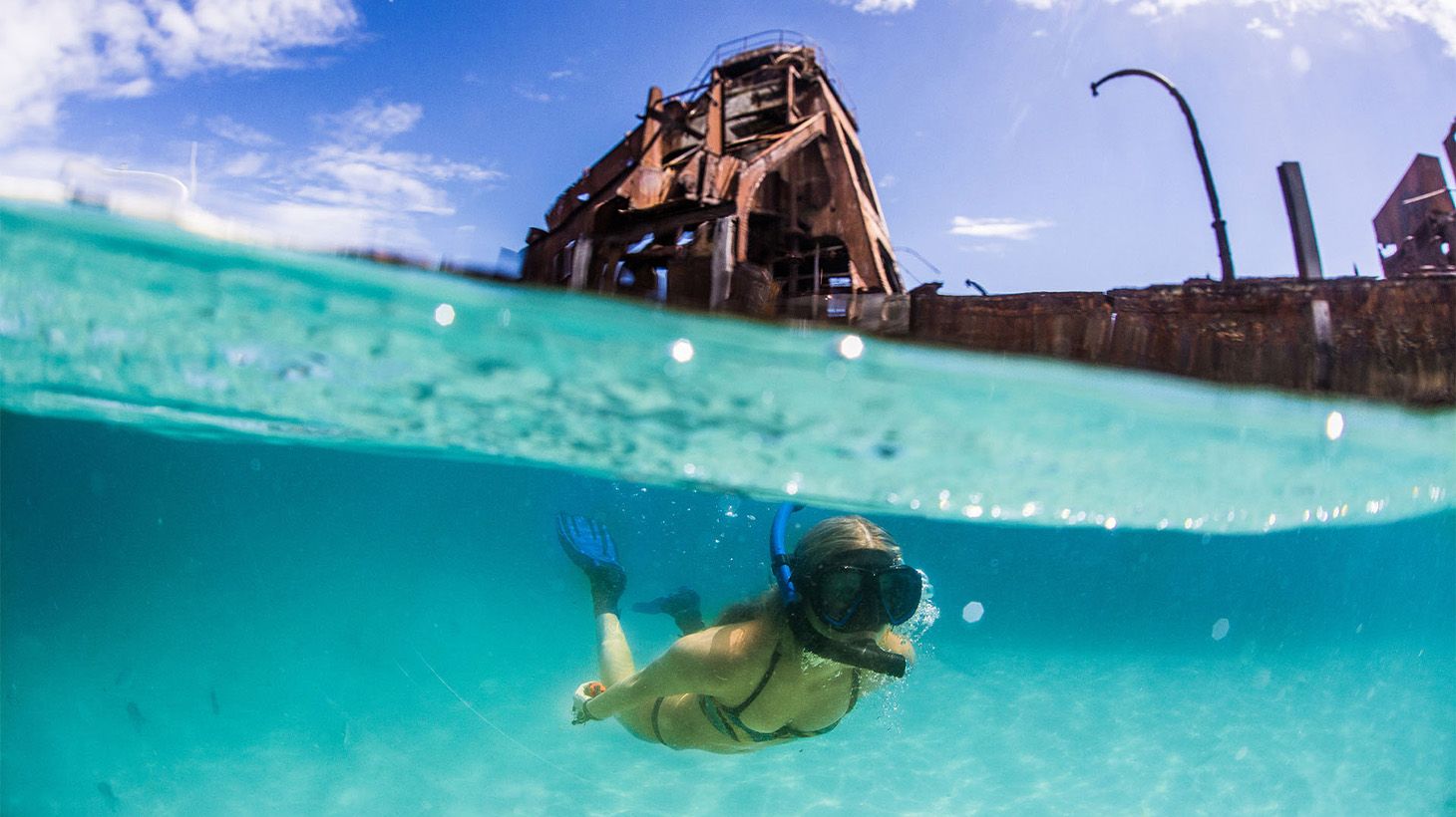 Official Tangalooma™ Day Cruise: with Wrecks Snorkelling Tour, Lunch & Resort Access