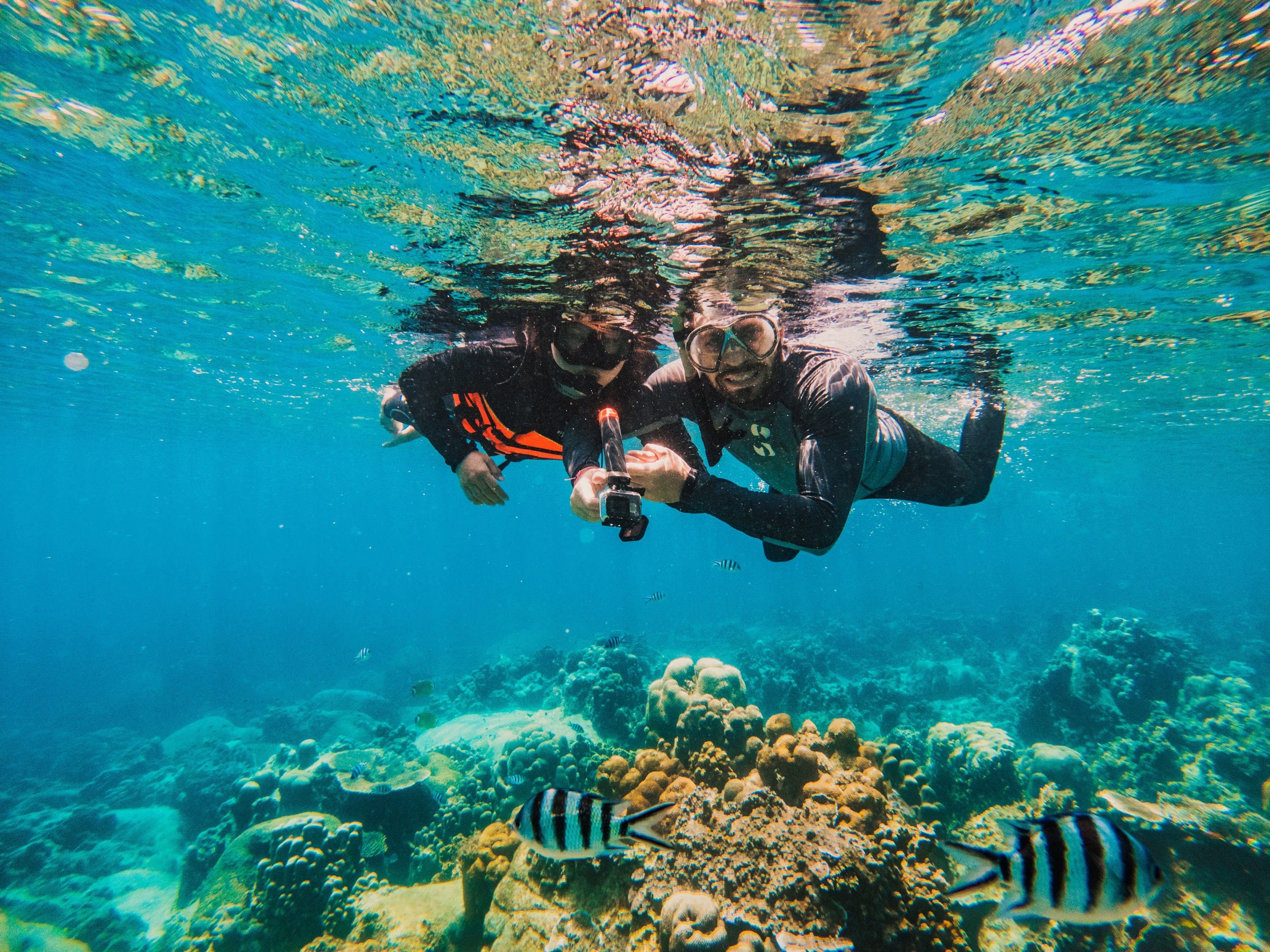 Koh Samui Koh Nangyuan & Koh Tao Full-Day Snorkeling Tour 7