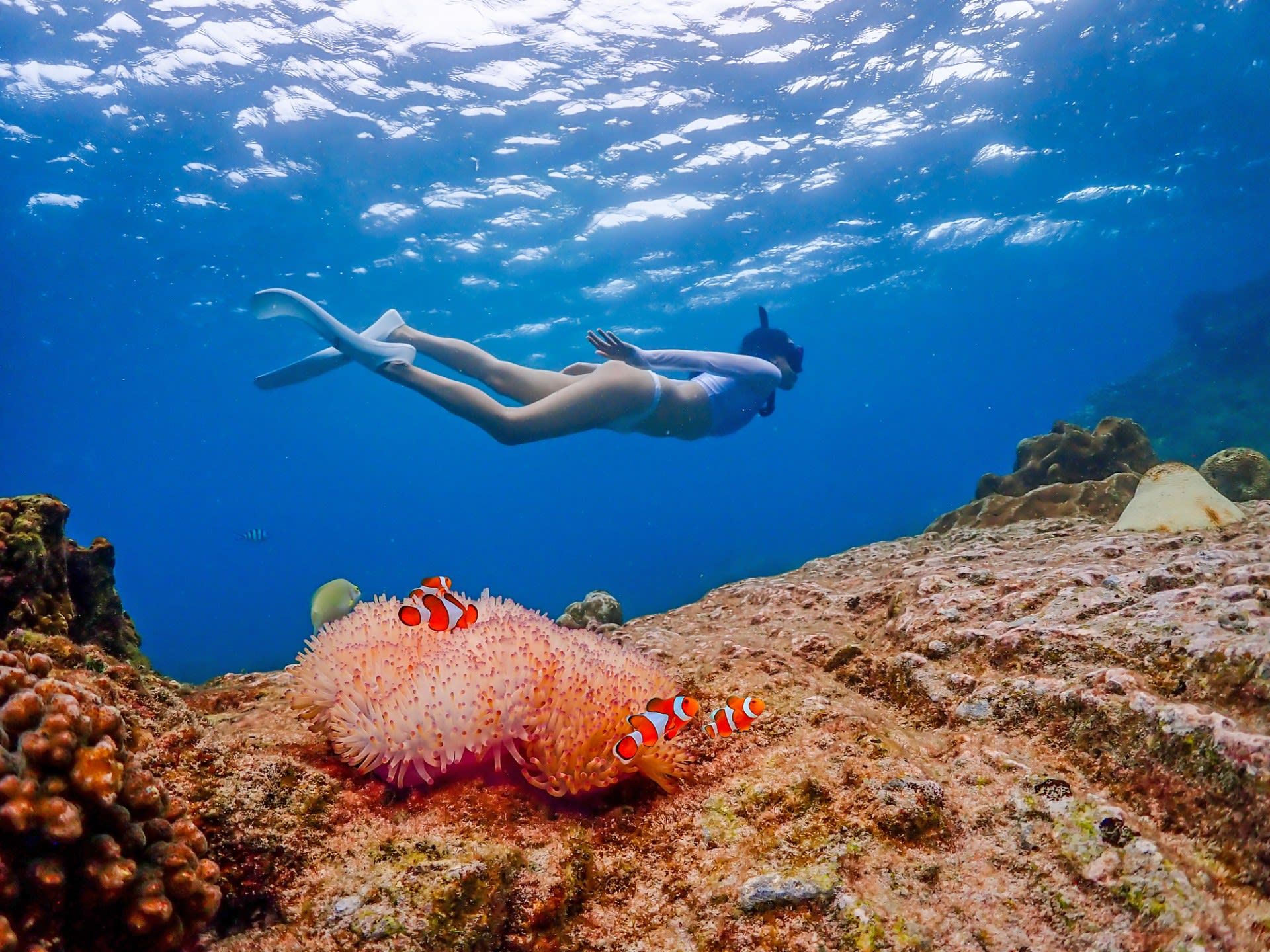 From Bangkok : Nemo Island Experience with Drone Photos and Lunch  