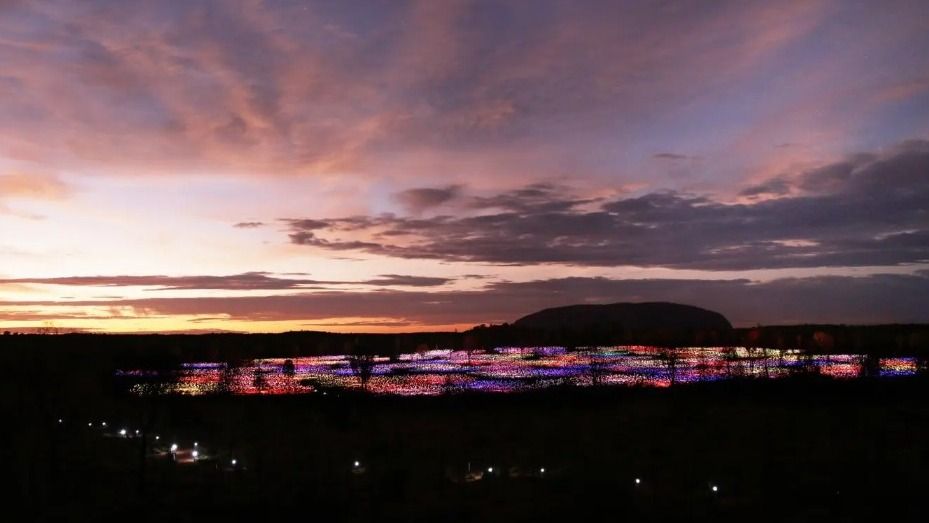 4,5-stündiges Field of Light-Dinner mit Drei-Gänge-Buffet und Sternebeobachtung 3