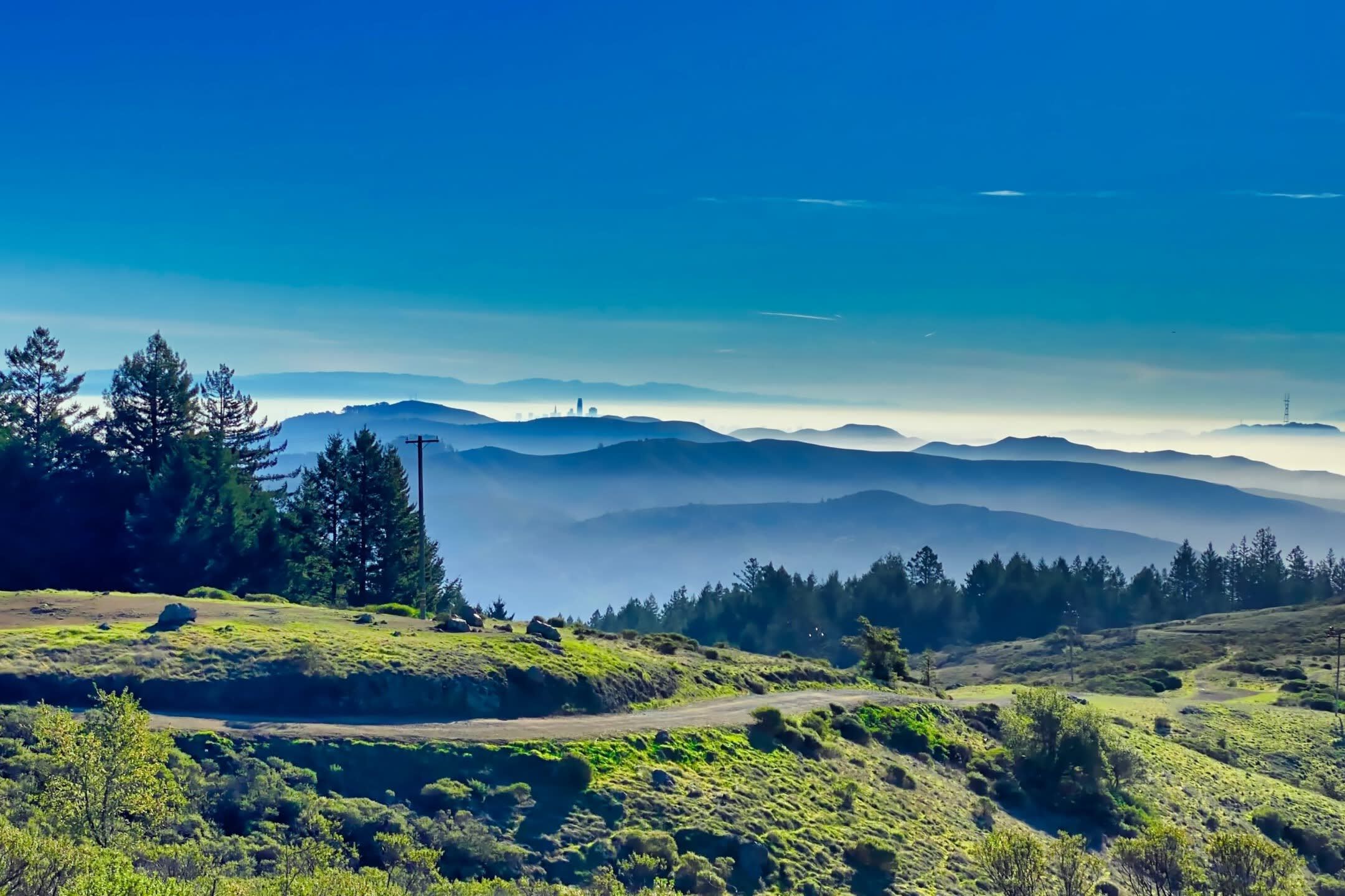 Golden Gate Bridge Bike Tour with Muir Woods & Sausalito 4