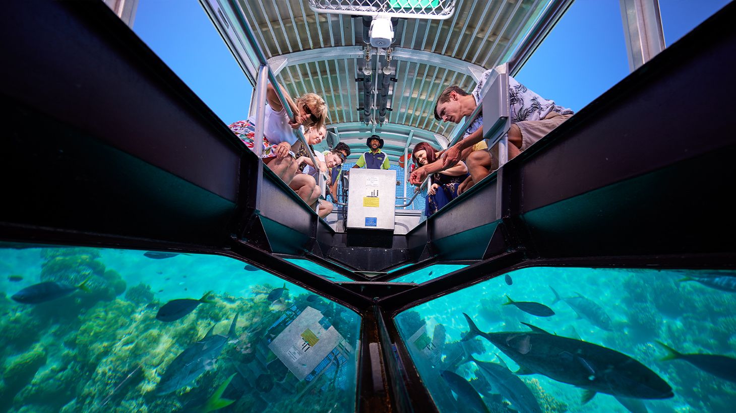 Green Island Reef Cruises with Optional Glass-Bottom Boat Tour, Snorkelling or Buffet Lunch Upgrades 6