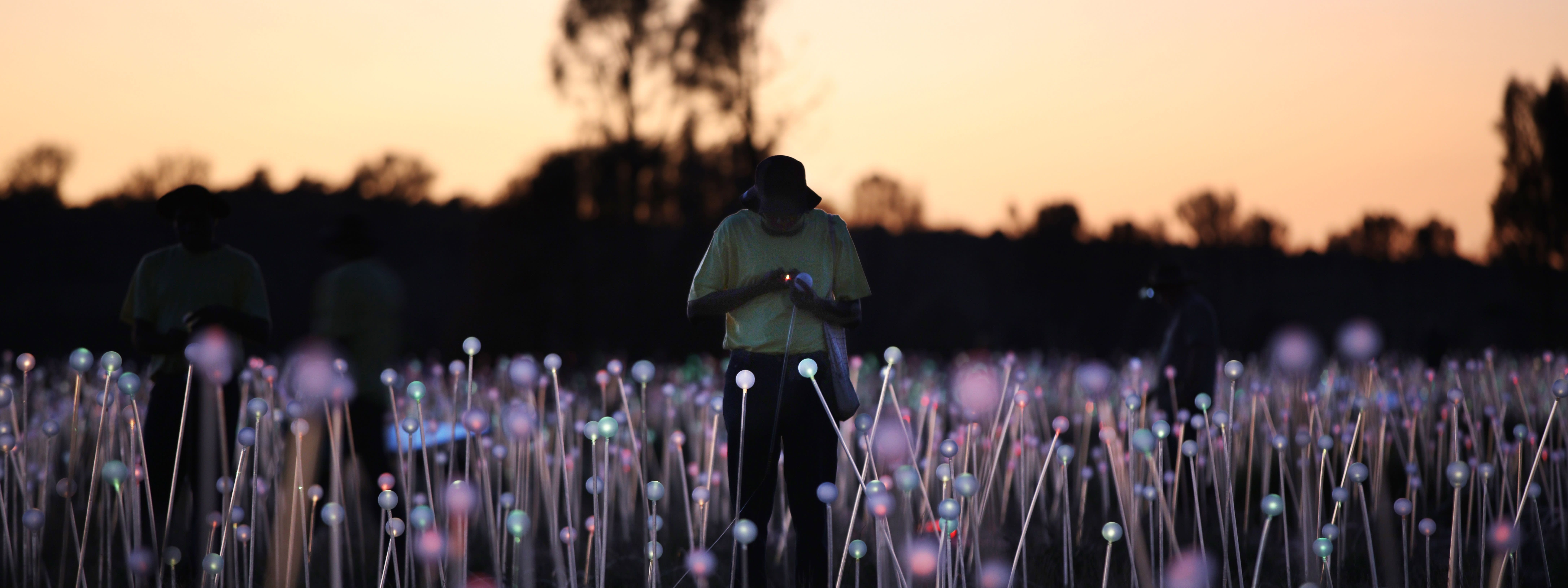 Field of Light Sunrise Tour