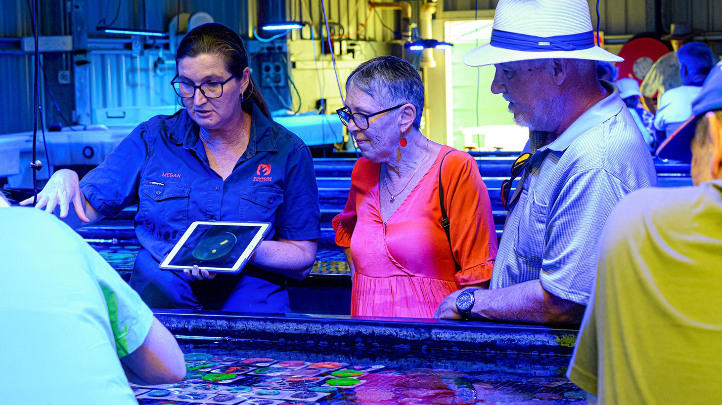 Discover a World of Coral with a One-Hour Guided Coral Farm Tour 