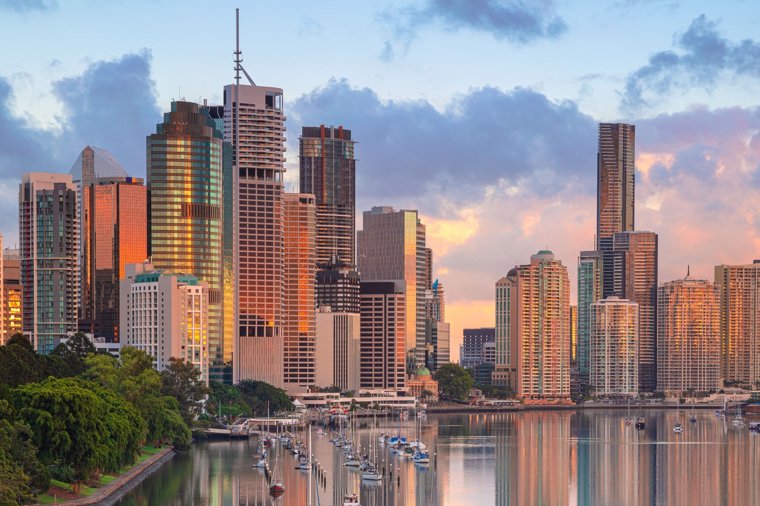 Brisbane City Highlight Tour with Entry to Lone Pine Koala Sanctuary