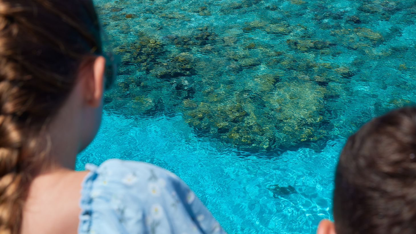 Green Island Reef Cruises with Optional Glass-Bottom Boat Tour, Snorkelling or Buffet Lunch Upgrades 8