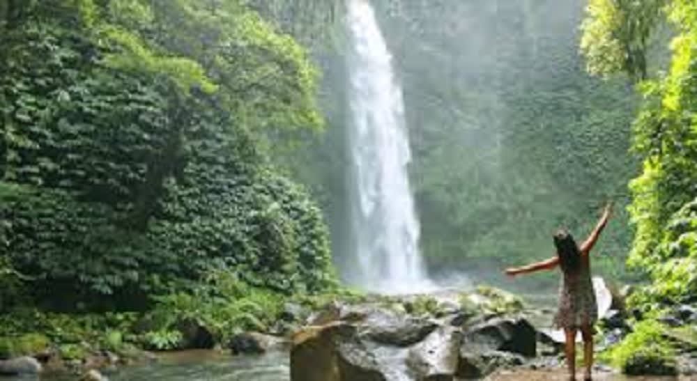 Kuta Nungnung Waterfall Private Full-Day Tour