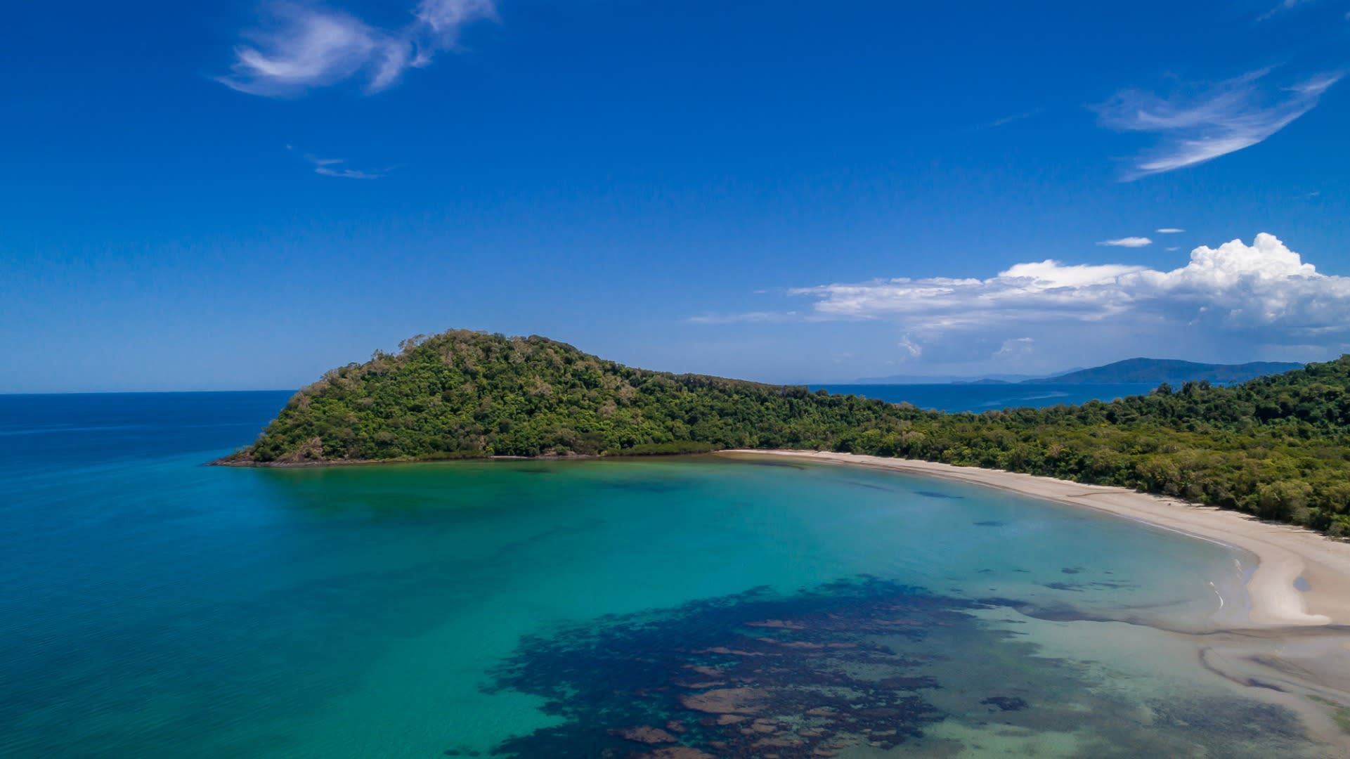 Cape Tribulation, Daintree and Mossman Gorge Day Tour 