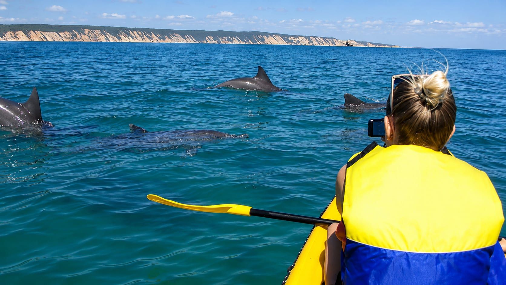 Noosa : incroyable excursion en kayak de mer avec dauphins et aventure en 4x4 sur la plage