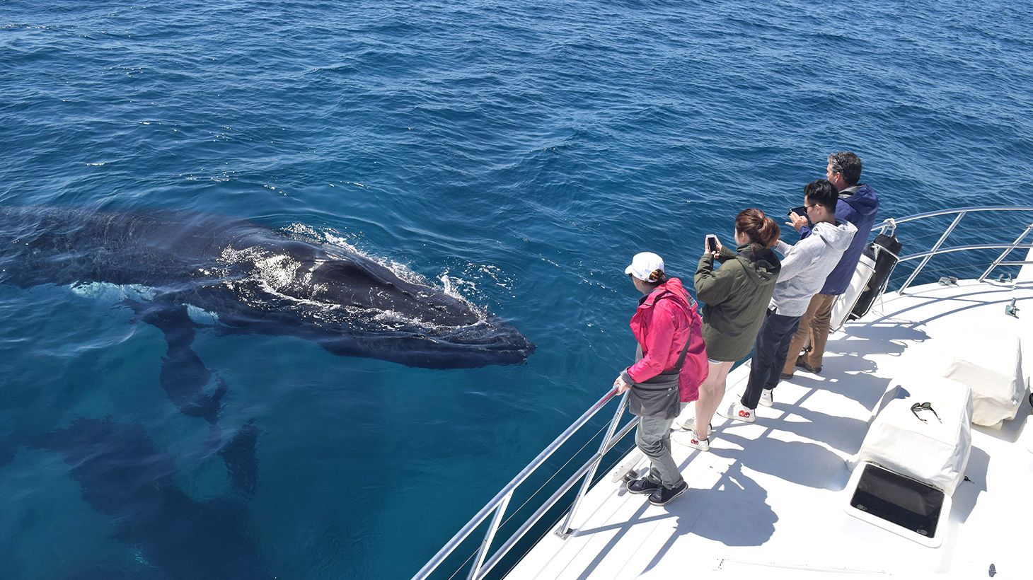 Experience a Magical Encounter on an Two-Hour Whale Watching Experience in Geographe Bay 3