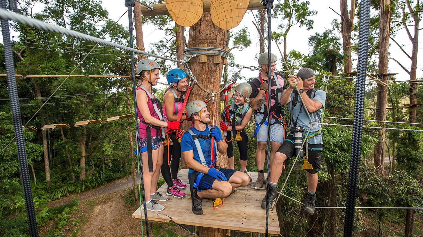 Take on Zipline & High Ropes Courses at The TreeTop Challenge at Sunshine Coast Adventure Park