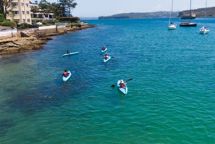 Manly Guided Kayak Tour 6