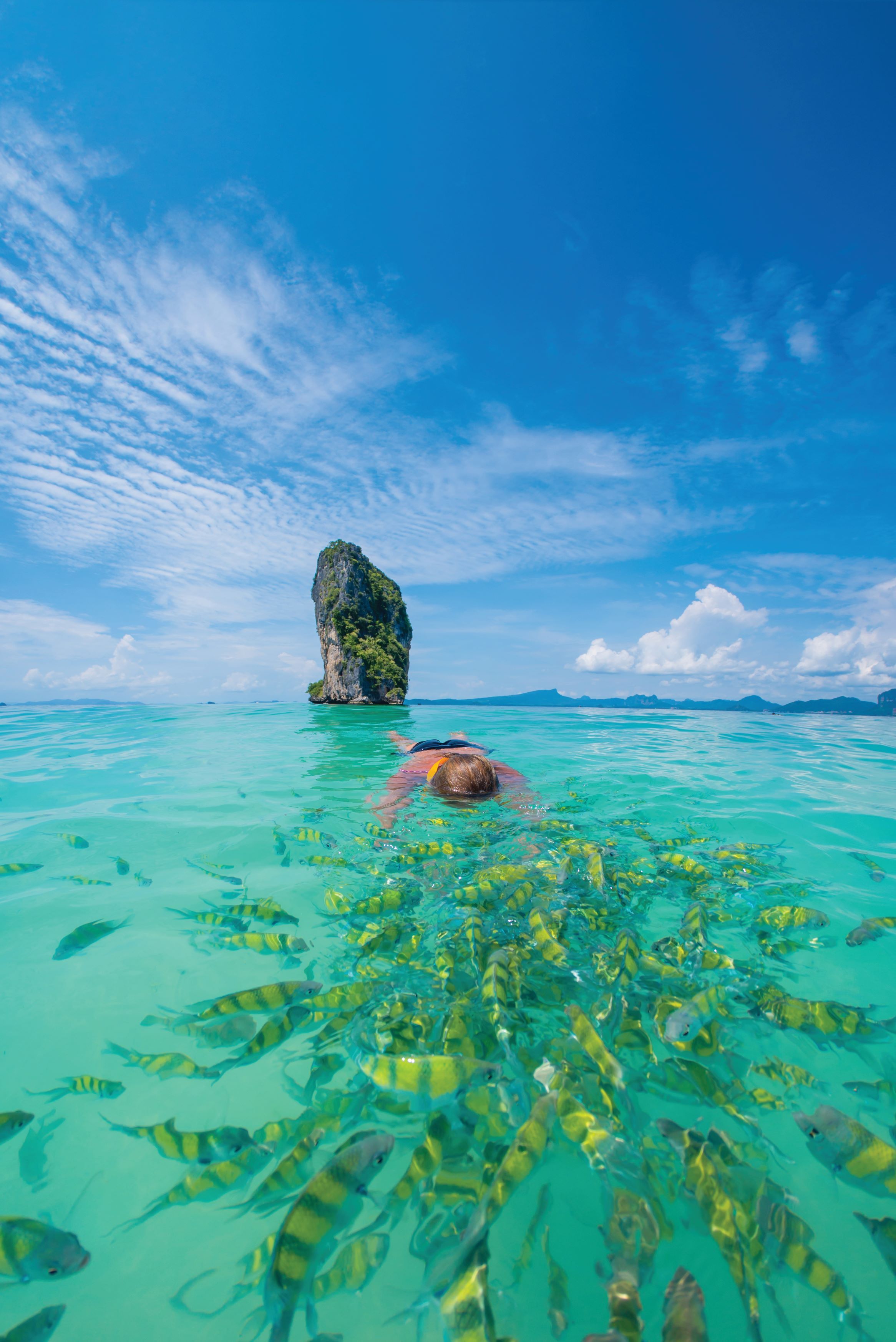 Luxury Private Speed boat Charter - Coral Delight