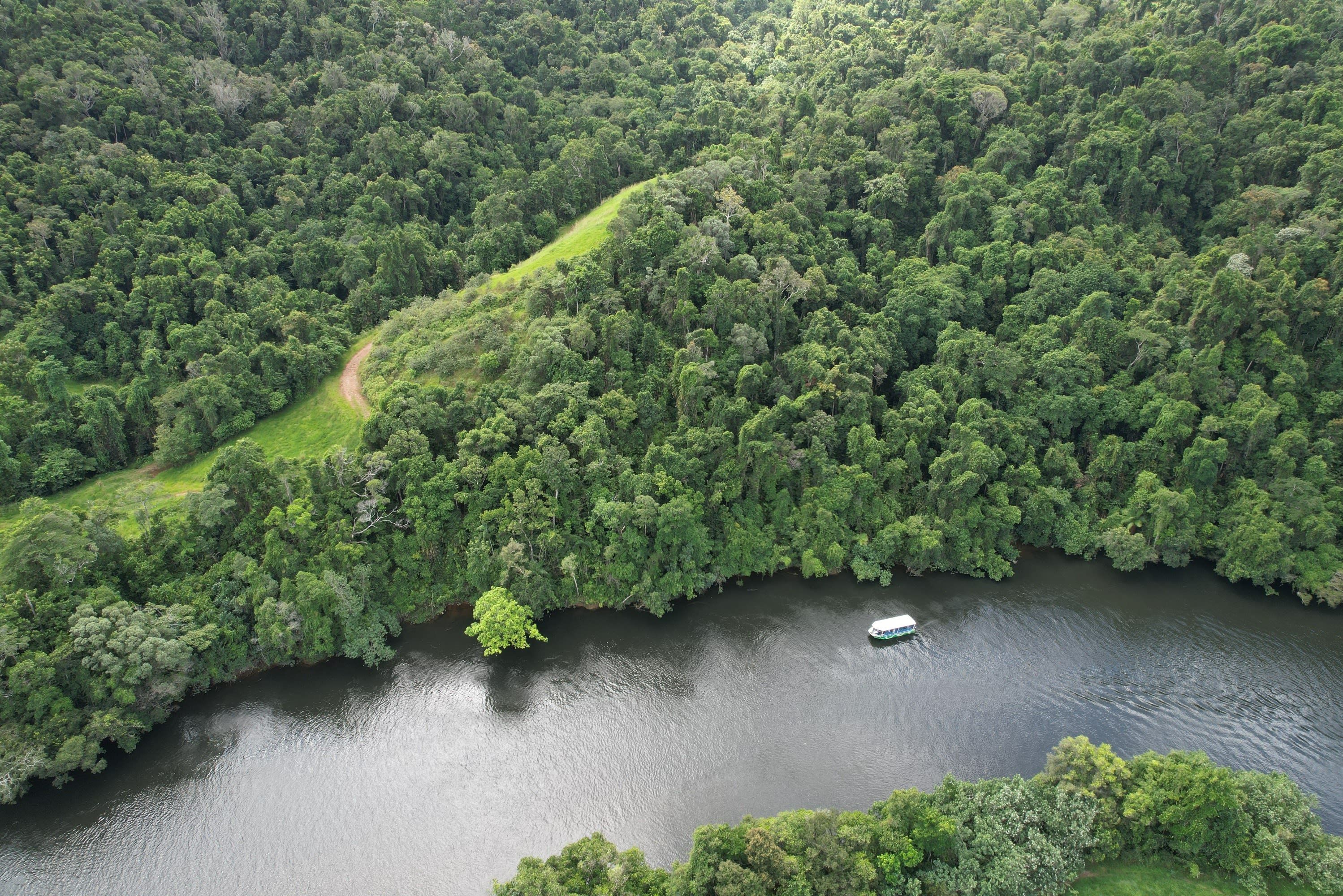 Greater Daintree Wildlife Cruise