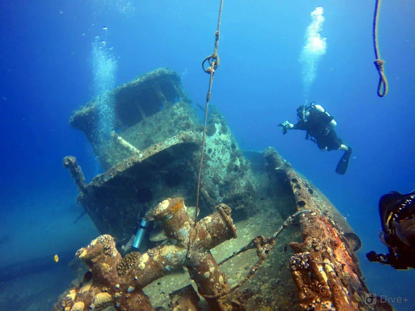 Honolulu Dive Expedition: 2-Tank Wreck & Reef with PADI 5* Center