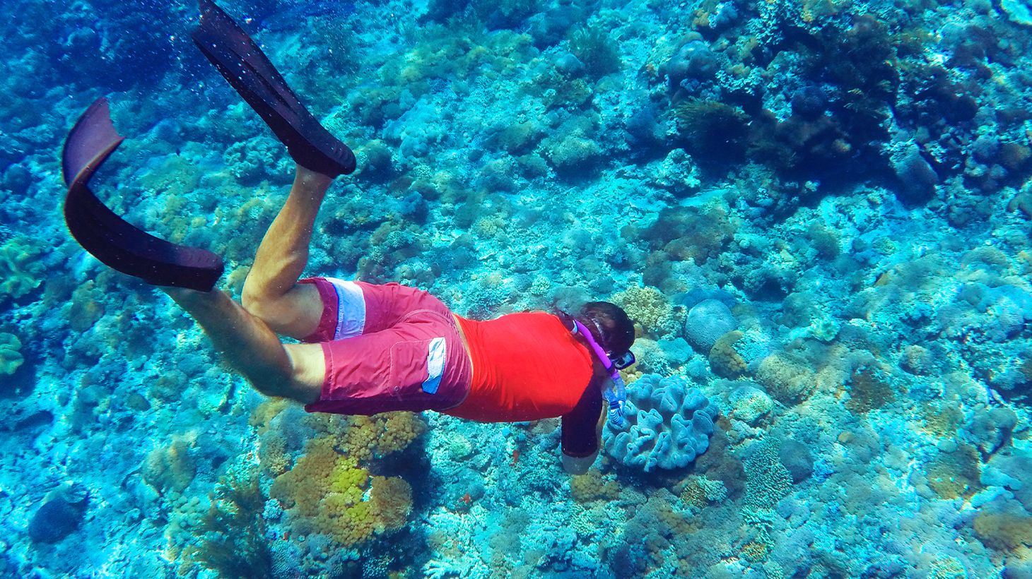 Full-Day Blue Lagoon & Tanjung Jepun Snorkelling Tour with Lunch & Return Transfers