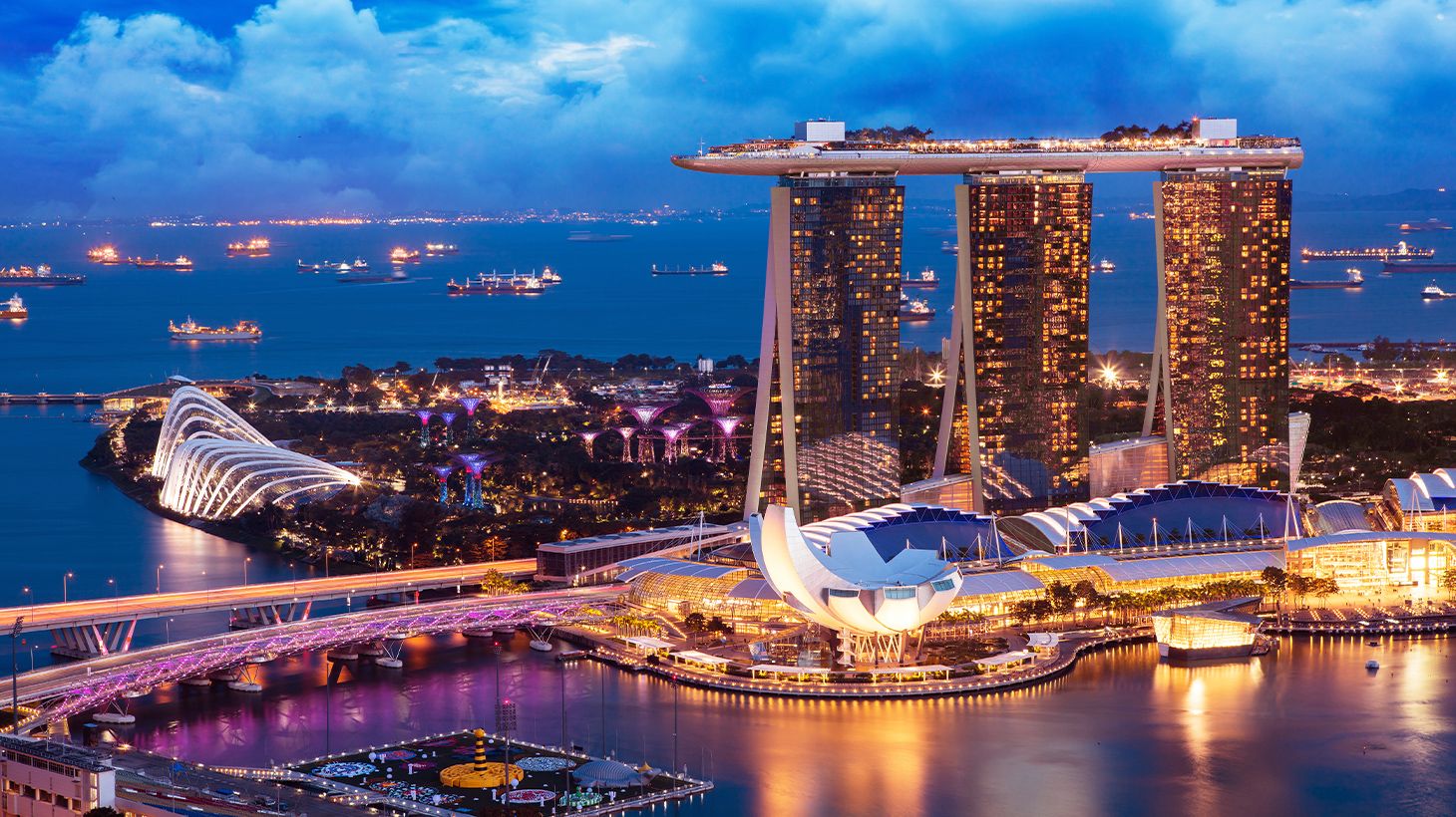 Private Starry Night Tour with River Cruise, Light Shows & Return Transfers