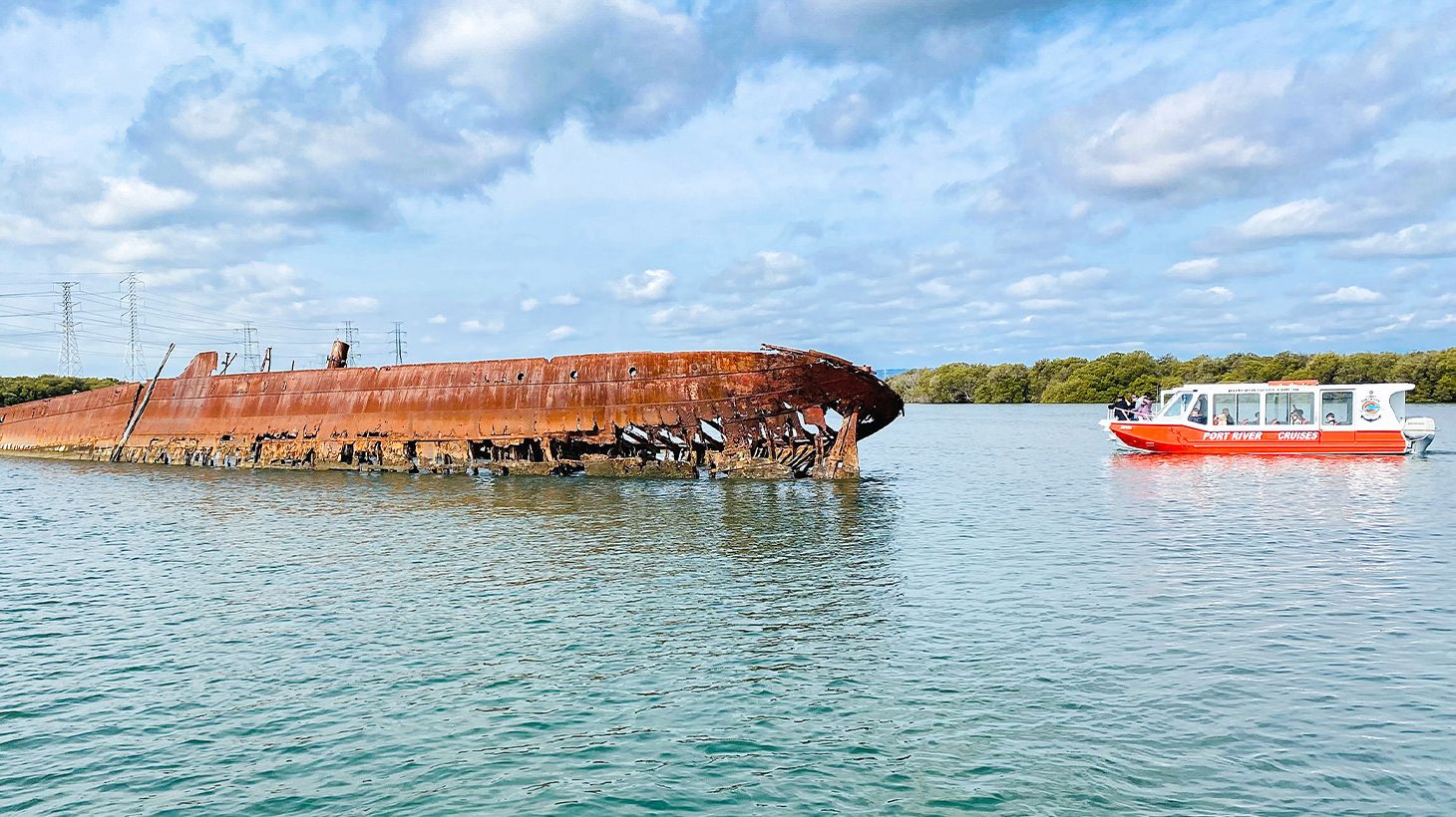 90-Minute Port River Dolphin & Ships' Graveyard Cruise