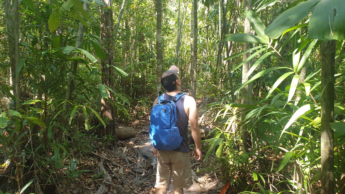 Get Wild on an Intimate Litchfield National Park Eco-Tour with Lunch & Roundtrip Transfers 3