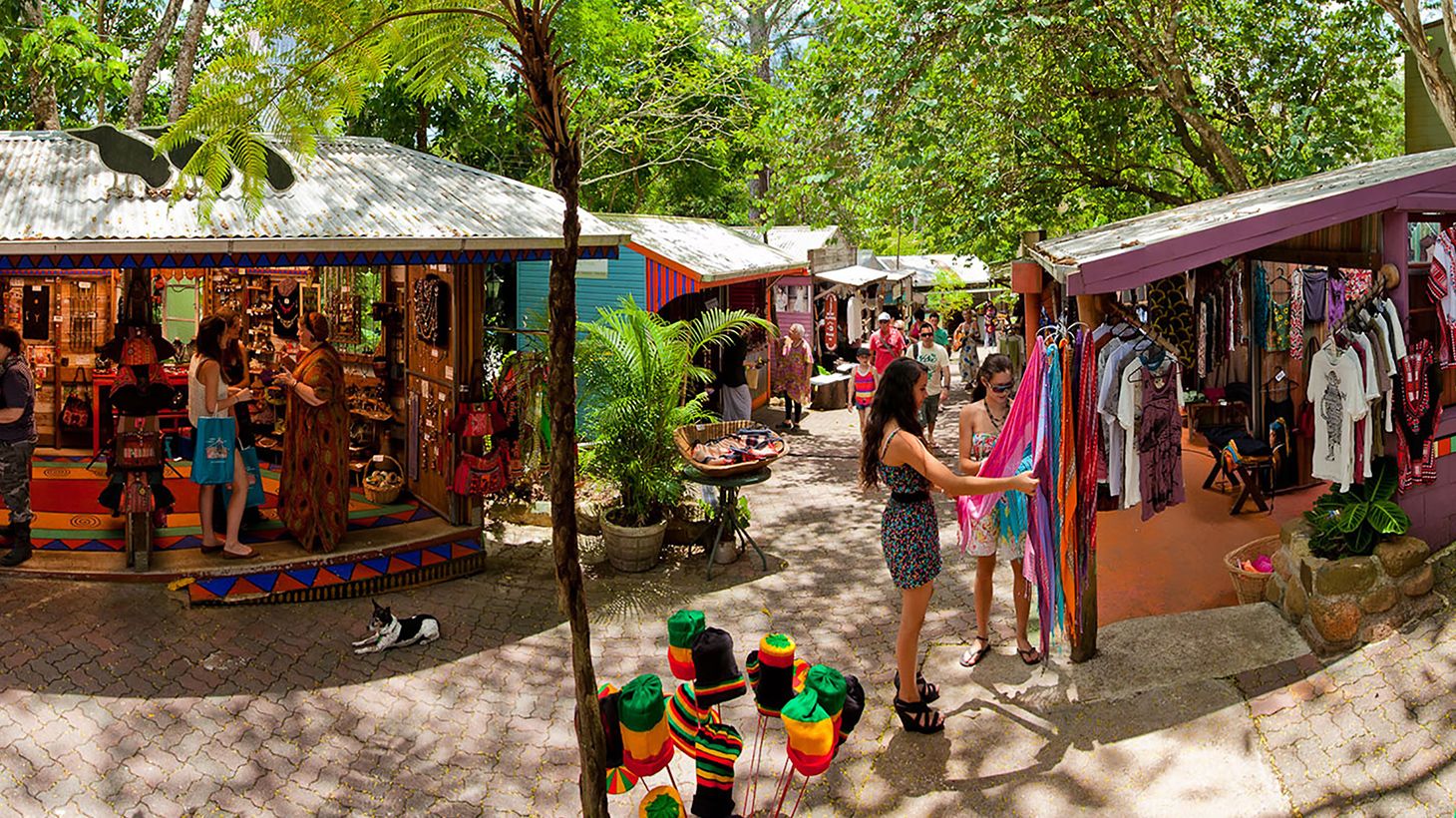 Kuranda Skyrail & Gold Class Scenic Rail Pass with Drinks & Roundtrip Hotel Transfers 8