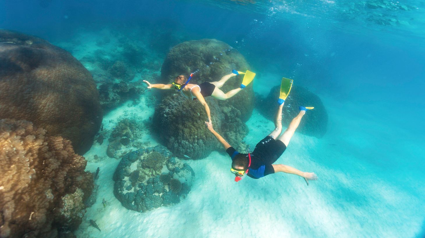 Full-Day Ningaloo Reef Snorkel Adventure with Morning Tea, Picnic Lunch & Snorkelling Gear 1