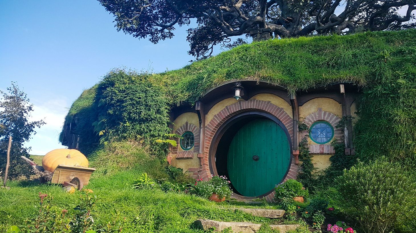 Full-Day Hobbiton Movie Set & Glowworm Cave Tour with Lunch & Transfers 1