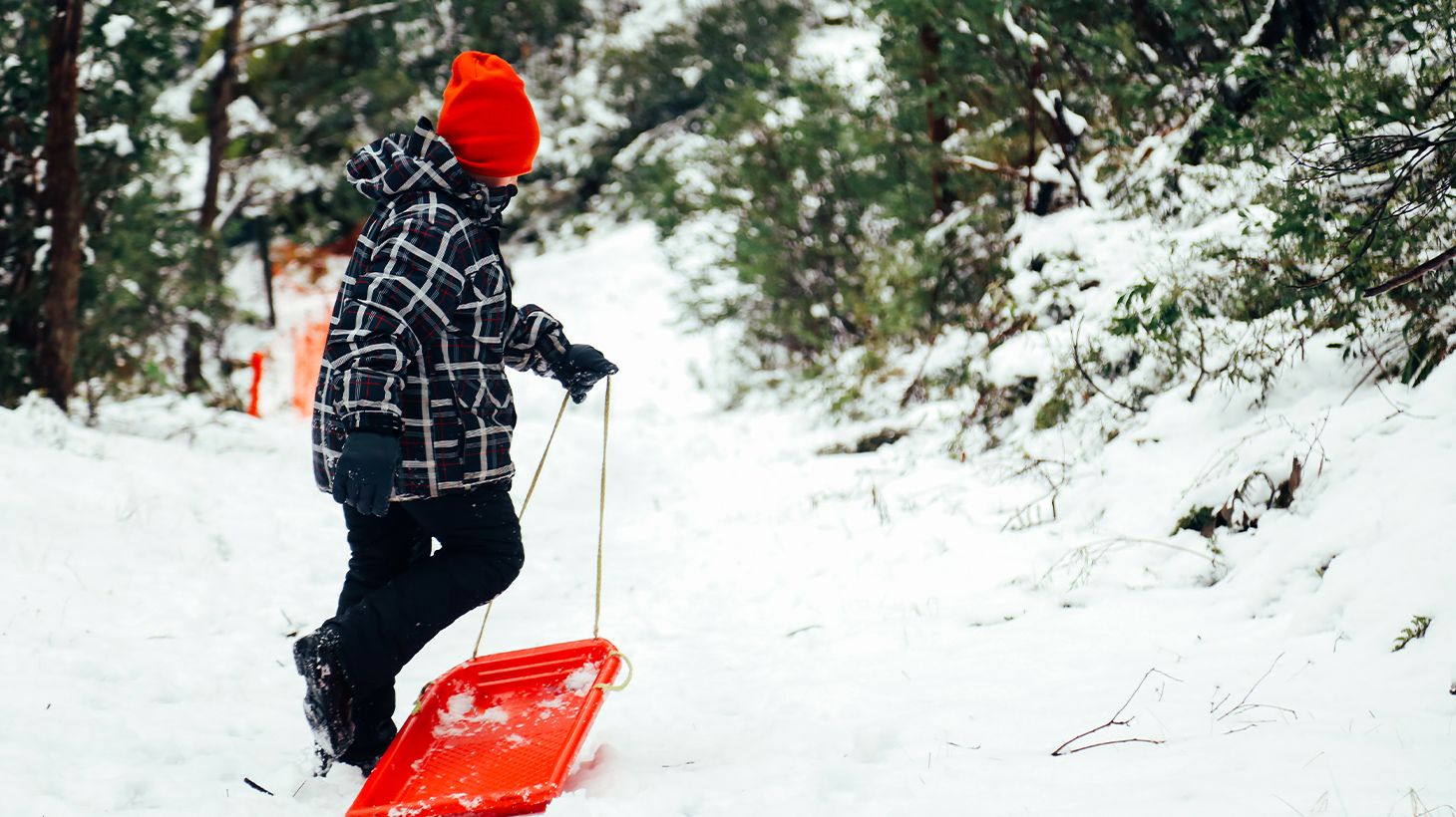 Full-Day Tour to Mount Buller Snow Slopes with Discounted Hire 3