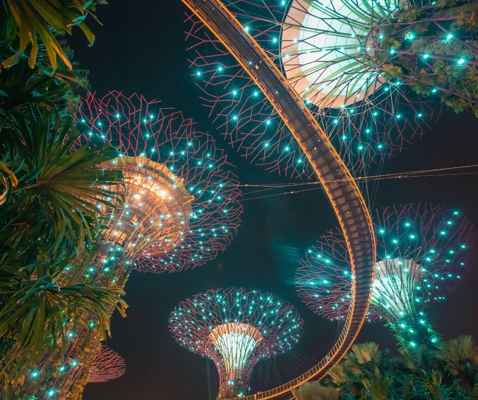 Marina Bay Night Walk with Spectra & Garden Rhapsody 6