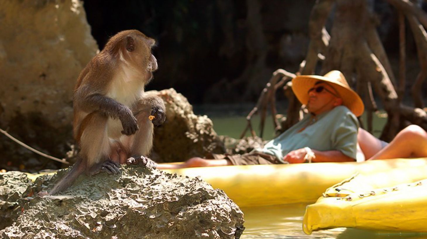 Full-Day Phang Nga Bay Sea Caves Kayak Tour with Lunch, Buffet Dinner & Roundtrip Transfers 2